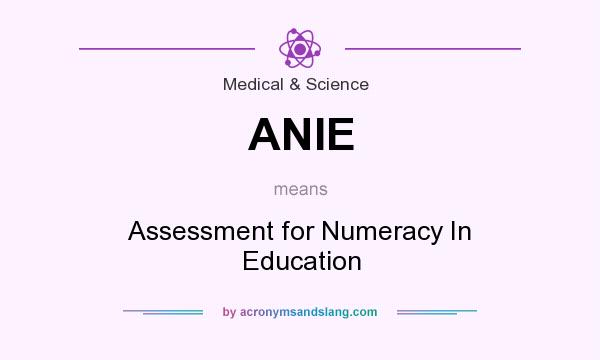 What does ANIE mean? It stands for Assessment for Numeracy In Education