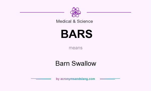 What does BARS mean? It stands for Barn Swallow