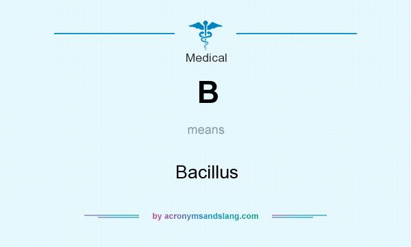 What does B mean? It stands for Bacillus