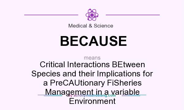 What does BECAUSE mean? It stands for Critical Interactions BEtween Species and their Implications for a PreCAUtionary FiSheries Management in a variable Environment