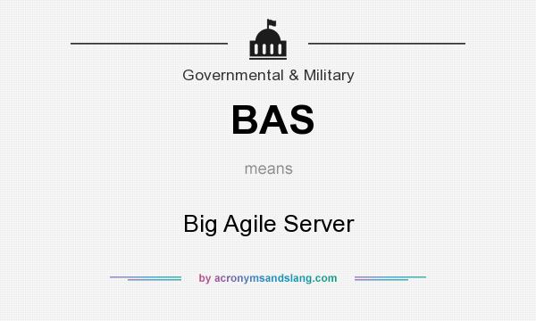 What does BAS mean? It stands for Big Agile Server