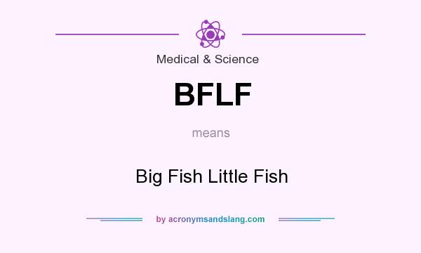 What does BFLF mean? It stands for Big Fish Little Fish
