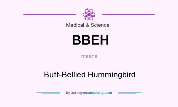 What does BBEH mean? It stands for Buff-Bellied Hummingbird
