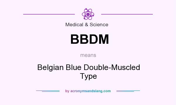 What does BBDM mean? It stands for Belgian Blue Double-Muscled Type