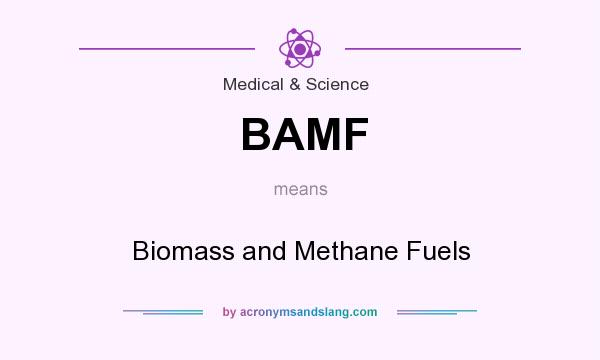 What does BAMF mean? It stands for Biomass and Methane Fuels