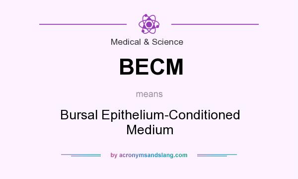 What does BECM mean? It stands for Bursal Epithelium-Conditioned Medium