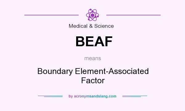 What does BEAF mean? It stands for Boundary Element-Associated Factor