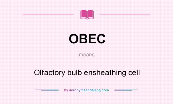 What does OBEC mean? It stands for Olfactory bulb ensheathing cell