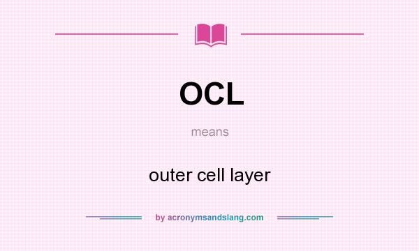 What does OCL mean? It stands for outer cell layer