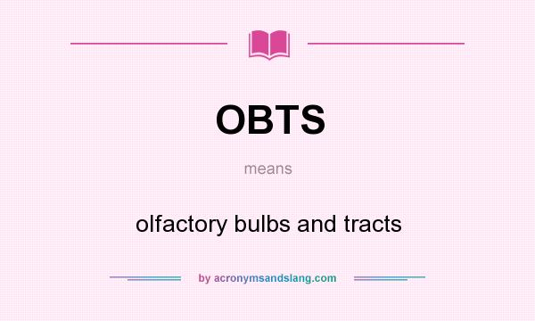 What does OBTS mean? It stands for olfactory bulbs and tracts