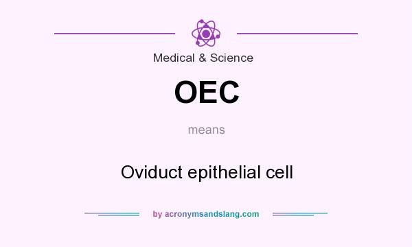 What does OEC mean? It stands for Oviduct epithelial cell
