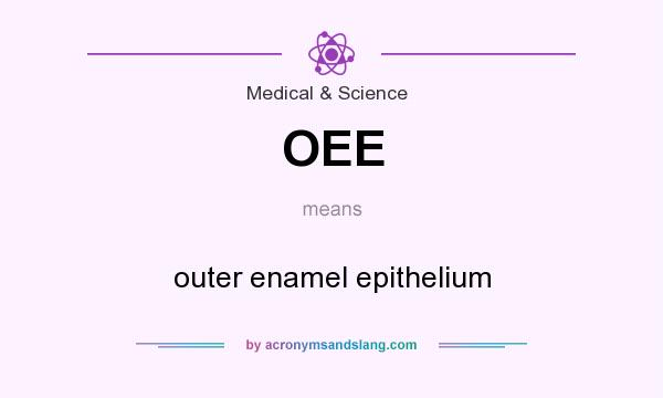 What does OEE mean? It stands for outer enamel epithelium