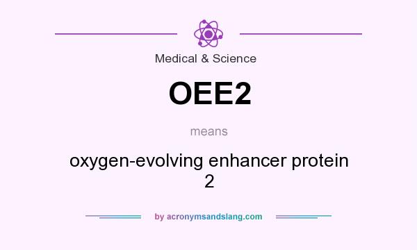 What does OEE2 mean? It stands for oxygen-evolving enhancer protein 2