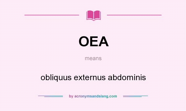What does OEA mean? It stands for obliquus externus abdominis