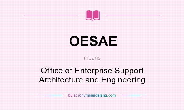 What does OESAE mean? It stands for Office of Enterprise Support Architecture and Engineering