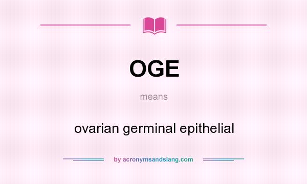 What does OGE mean? It stands for ovarian germinal epithelial