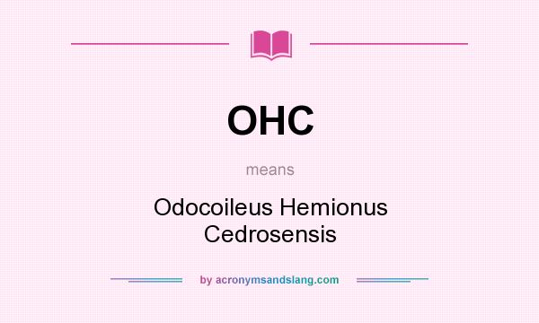 What does OHC mean? It stands for Odocoileus Hemionus Cedrosensis