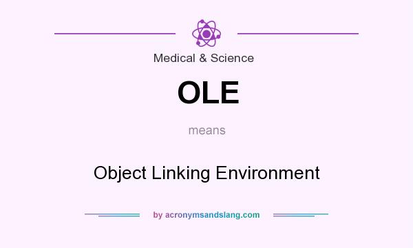What does OLE mean? It stands for Object Linking Environment