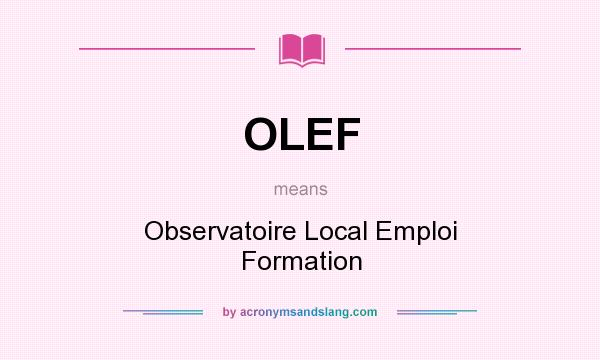 What does OLEF mean? It stands for Observatoire Local Emploi Formation