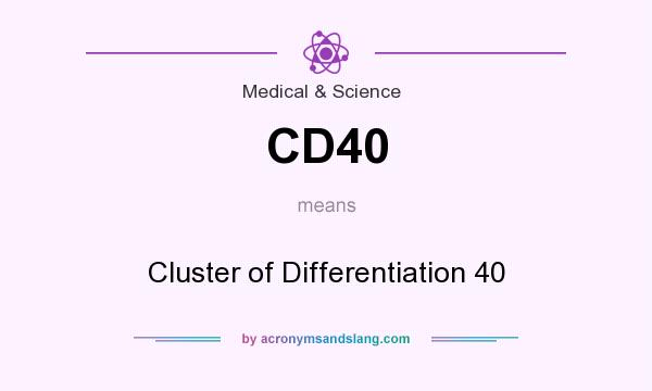 What does CD40 mean? It stands for Cluster of Differentiation 40