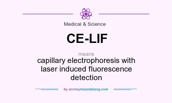 What does CE-LIF mean? It stands for capillary electrophoresis with laser induced fluorescence detection