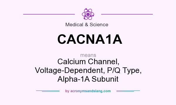 What does CACNA1A mean? It stands for Calcium Channel, Voltage-Dependent, P/Q Type, Alpha-1A Subunit