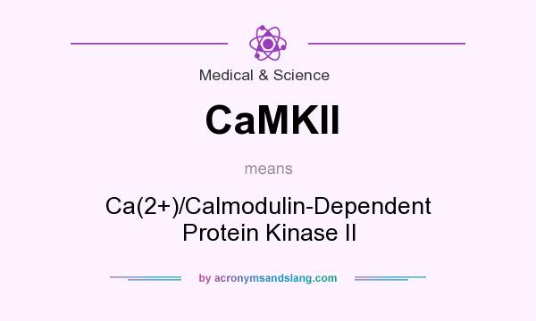 What does CaMKII mean? It stands for Ca(2+)/Calmodulin-Dependent Protein Kinase II