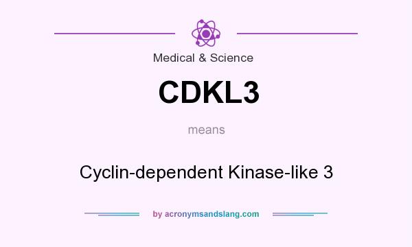 What does CDKL3 mean? It stands for Cyclin-dependent Kinase-like 3