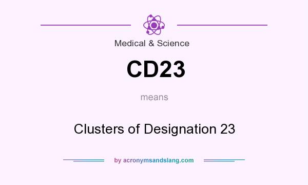 What does CD23 mean? It stands for Clusters of Designation 23