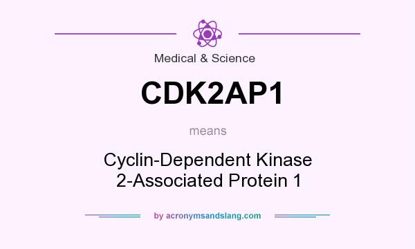 What does CDK2AP1 mean? It stands for Cyclin-Dependent Kinase 2-Associated Protein 1