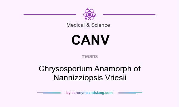What does CANV mean? It stands for Chrysosporium Anamorph of Nannizziopsis Vriesii
