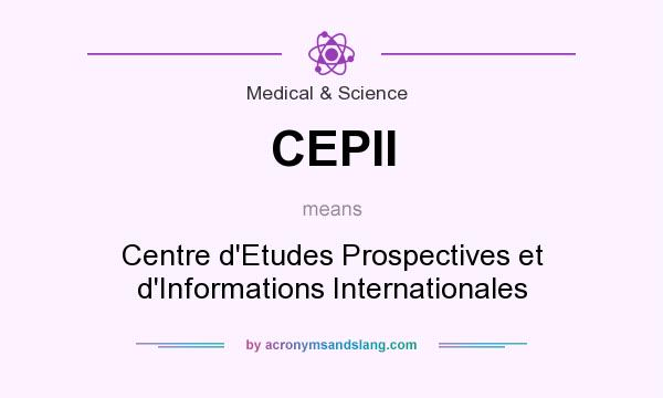 What does CEPII mean? It stands for Centre d`Etudes Prospectives et d`Informations Internationales