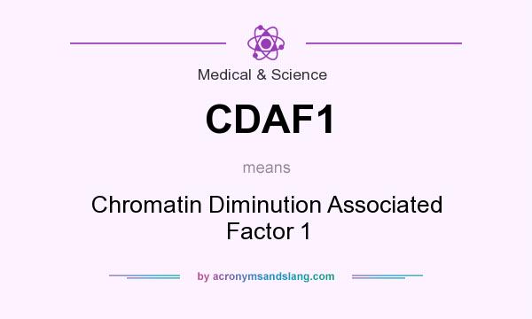 What does CDAF1 mean? It stands for Chromatin Diminution Associated Factor 1