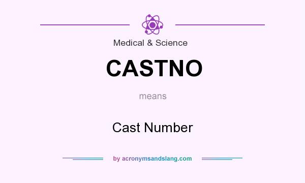 What does CASTNO mean? It stands for Cast Number