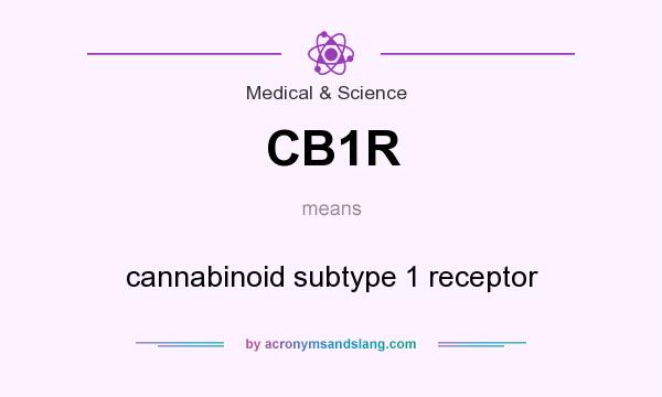 What does CB1R mean? It stands for cannabinoid subtype 1 receptor