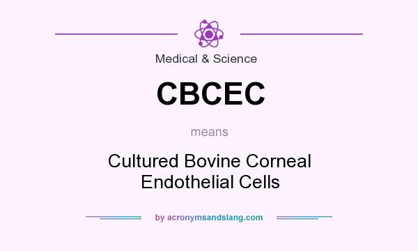 What does CBCEC mean? It stands for Cultured Bovine Corneal Endothelial Cells