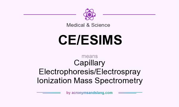 What does CE/ESIMS mean? It stands for Capillary Electrophoresis/Electrospray Ionization Mass Spectrometry