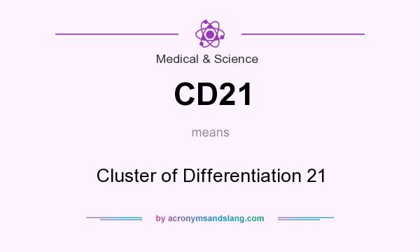 What does CD21 mean? It stands for Cluster of Differentiation 21