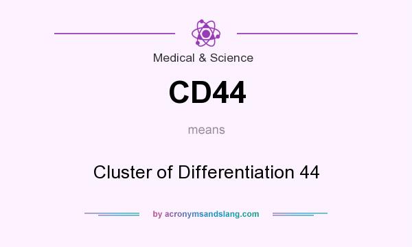 What does CD44 mean? It stands for Cluster of Differentiation 44