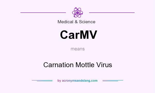 What does CarMV mean? It stands for Carnation Mottle Virus