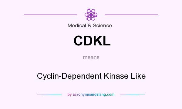 What does CDKL mean? It stands for Cyclin-Dependent Kinase Like