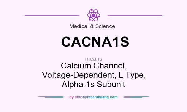 What does CACNA1S mean? It stands for Calcium Channel, Voltage-Dependent, L Type, Alpha-1s Subunit