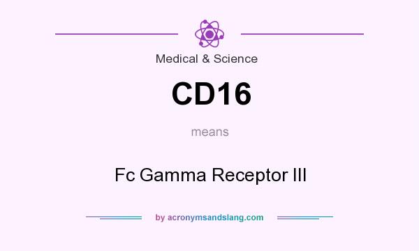 What does CD16 mean? It stands for Fc Gamma Receptor III
