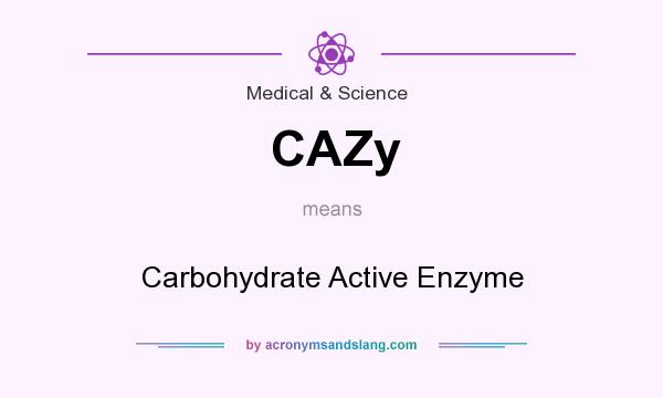 What does CAZy mean? It stands for Carbohydrate Active Enzyme