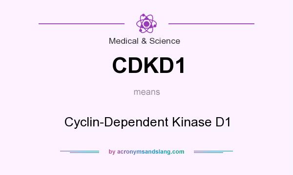 What does CDKD1 mean? It stands for Cyclin-Dependent Kinase D1