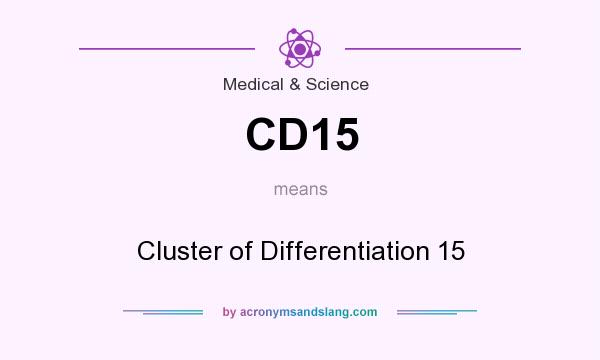 What does CD15 mean? It stands for Cluster of Differentiation 15