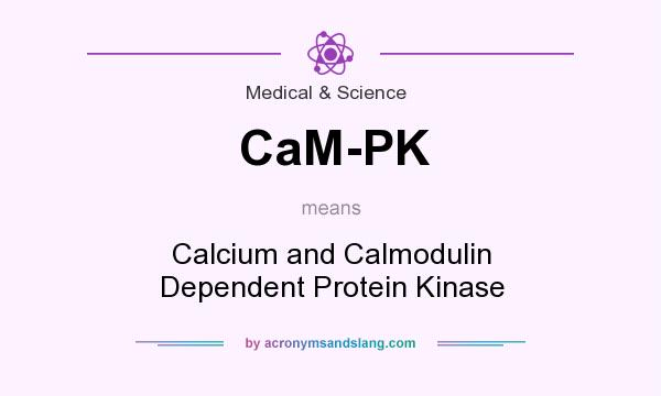 What does CaM-PK mean? It stands for Calcium and Calmodulin Dependent Protein Kinase