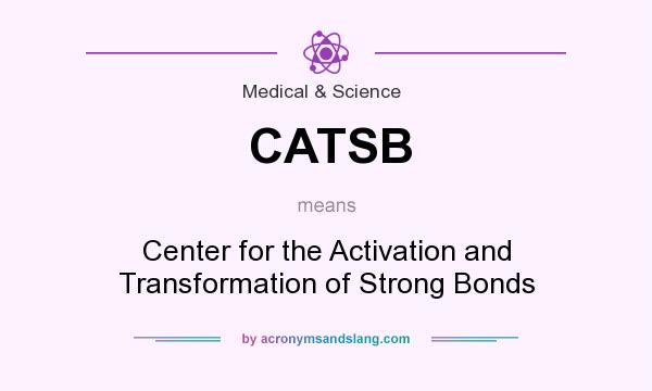What does CATSB mean? It stands for Center for the Activation and Transformation of Strong Bonds