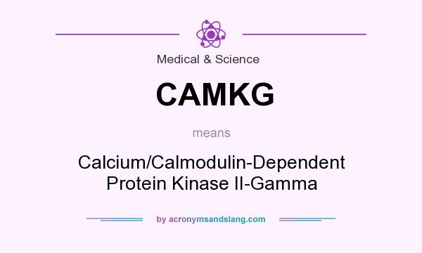 What does CAMKG mean? It stands for Calcium/Calmodulin-Dependent Protein Kinase II-Gamma