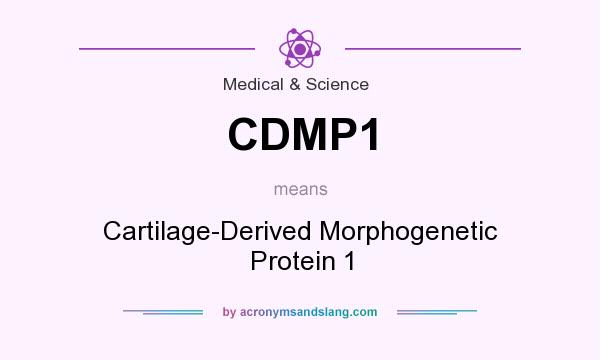 What does CDMP1 mean? It stands for Cartilage-Derived Morphogenetic Protein 1